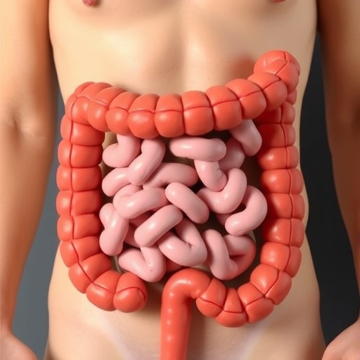BMI, Chemotherapy Toxicity, Survival in Colorectal Cancer — Cancer