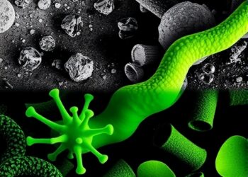 Bacterial Shifts Under Arsenic and Cadmium Pollution — Technology and Engineering