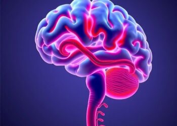 Brain Aneurysms: Vascular Vulnerability and Fibrosis Insights — Medicine