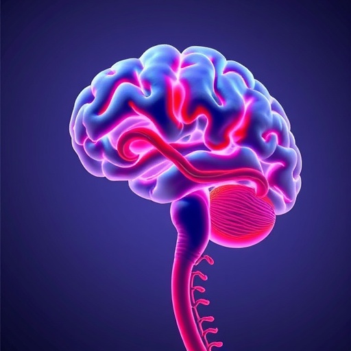 Brain Aneurysms: Vascular Vulnerability and Fibrosis Insights — Medicine