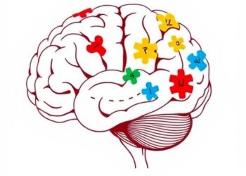 Brain and Behavior Predict Early Autism Vocabulary Growth — Psychology & Psychiatry