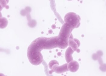 Can Bifidobacterium infantis M-63 Transform Weaning Gut? — Technology and Engineering