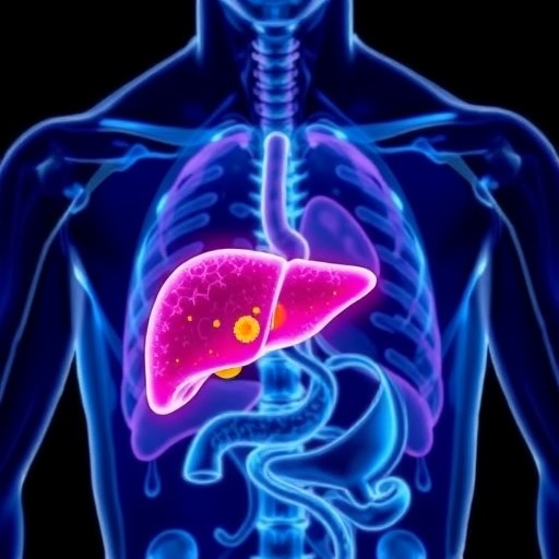Can Immunotherapy Increase Liver Cancer Patients’ Eligibility for Transplantation? — Cancer