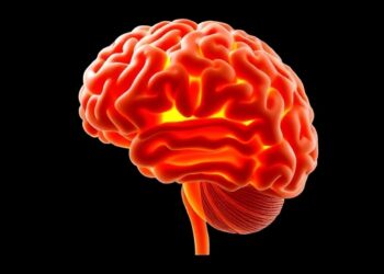 Can Obesity Accelerate Brain Aging? — Medicine