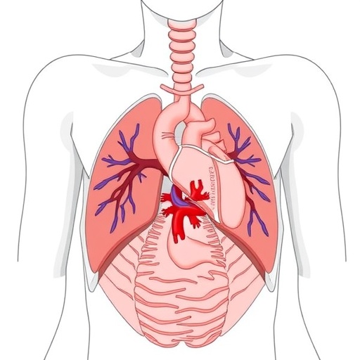 Cardiac Adaptation in Congenital Diaphragmatic Hernia — Technology and Engineering