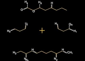 Catalytic Endo-Stereoselective [2+2] Norbornadiene-Alkyne Cycloaddition — Chemistry