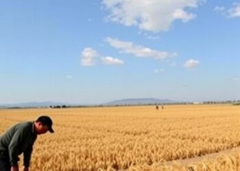 Climate Change, Trade Shift China’s Grain Production North — Medicine
