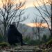 Climate, Death Anxiety, Resilience in Older Adults — Medicine