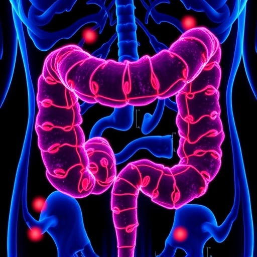 Colorectal Cancer Research Shifts Focus Toward Immune Cells — Cancer