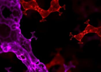 Commensal Acetylcholine Boosts Mucosal Immunity — Medicine