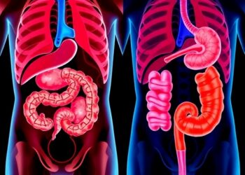 Comparing Organ-Preserving and Radical Surgery Approaches for Ureteral Urothelial Carcinoma — Medicine
