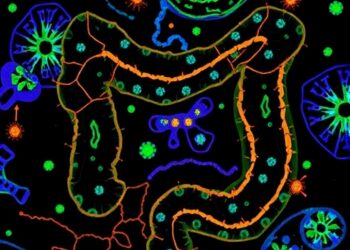 Comprehensive Microbiome Analysis Uncovers Reliable Colorectal Cancer Biomarkers — Cancer