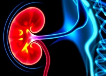 Could MRI Detect Kidney Disease Before It Develops? Award-Winning Study Opens New Possibilities — Medicine