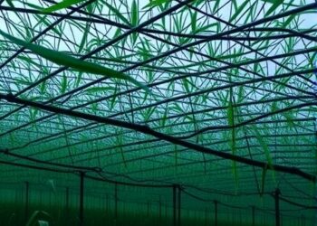 Decoding Carbon Dynamics in Flooded Rice Fields — Athmospheric
