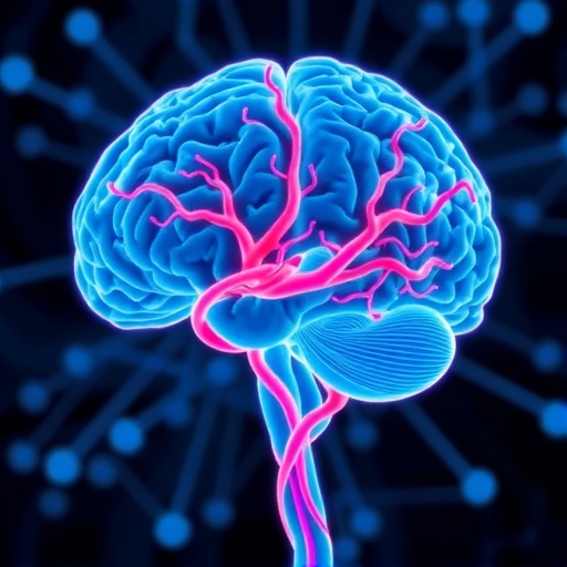 Deep Learning Advances Classification and Cognitive Profiling in Subcortical Vascular Cognitive Impairment — Technology and Engineering