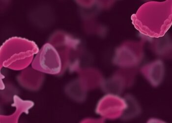 Delaying Immediate Treatment of Moderate Precancerous Cervical Cells Does Not Increase Cancer Risk, Study Finds — Cancer