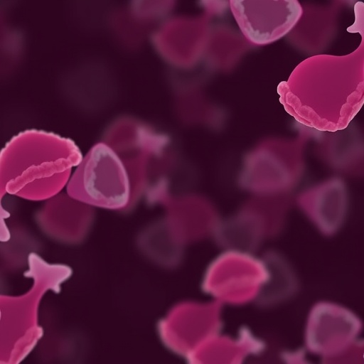 Delaying Immediate Treatment of Moderate Precancerous Cervical Cells Does Not Increase Cancer Risk, Study Finds — Cancer