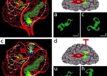 Dietary Changes Remodel Chromatin Structure and Prolong Survival in Glioma Models — Cancer