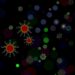 Diverse Dynamics of Dengue-Specific CD8+ T Cells — Medicine