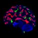 Dual CHK1/CHK2 Inhibitors Synergize Against Neuroblastoma — Technology and Engineering