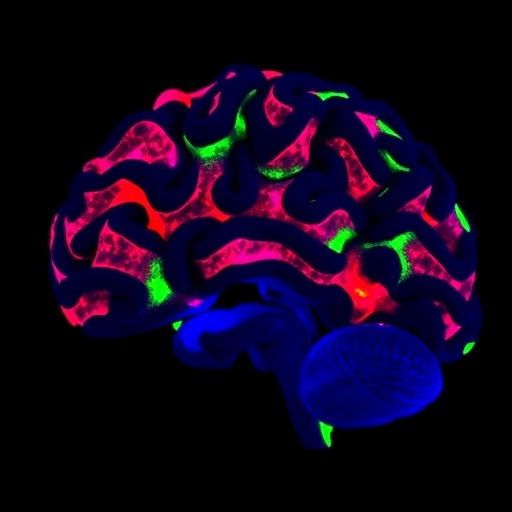 Dual CHK1/CHK2 Inhibitors Synergize Against Neuroblastoma — Technology and Engineering