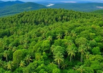 Ecological Integrity of Avoided Deforestation Projects Explained — Climate