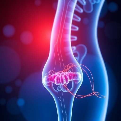 Engineering WNT7B Peptides to Boost Bone Health — Medicine
