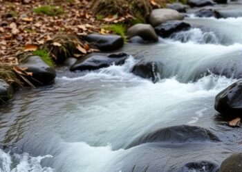 Enhancing Streamflow Forecasts in Japan with Real-Time Data Assimilation Technology — Athmospheric