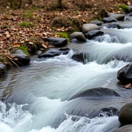 Enhancing Streamflow Forecasts in Japan with Real-Time Data Assimilation Technology — Athmospheric