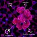 Epigenetic Changes Drive Pancreatic Adaptation to Aging, Diabetes — Medicine