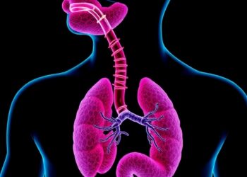 Esophageal Tissue System Evaluates Biologic Absorption Efficiency — Medicine