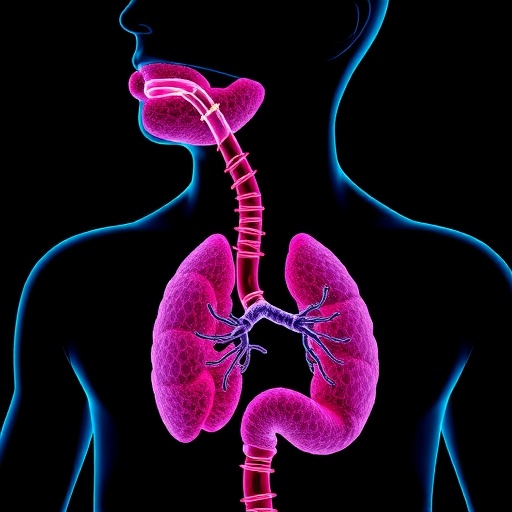 Esophageal Tissue System Evaluates Biologic Absorption Efficiency — Medicine