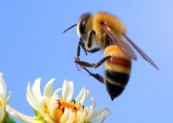 Europe Faces Potential Crisis Amidst Declining Pollinator Populations, Scientists Warn — Policy