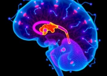 European-Funded Study Uncovers New Biomarkers for Autism in Preterm Children — Medicine