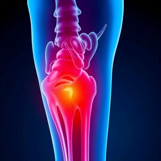 Evaluating Social Media on Femoral Head Necrosis — Technology and Engineering