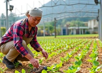 Future Food Security Threatened: KAIST Uncovers a Critical Risk of Farming Labor Shortages — Social Science