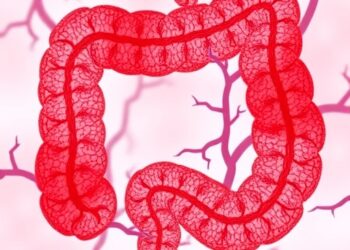 GPR15+ CD8+ Tregs Combat Intestinal Inflammation — Medicine