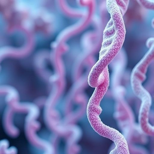 Genome Models Reveal Vaginal Microbes as Probiotics — Biology