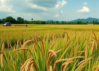 Global Rice Production Nearly Doubles Amid Climate Change, Fueled by Human Management — Policy