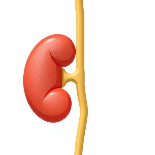 Glyphosate Exposure Linked to Kidney Health in Workers — Medicine