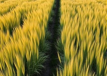 Grassland Restoration Boosts Crop Yields via Climate — Climate