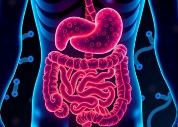 Gut Microbiome Reactivates Androgens to Control Motility — Medicine
