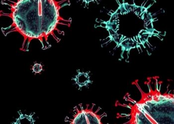 High-Throughput X-Ray Imaging of Drying Viral Capsids — Technology and Engineering