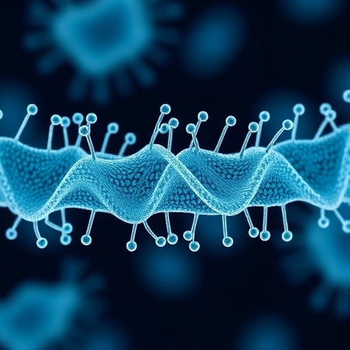 How Bacteria Recognize Structure in Tat Transport — Biology