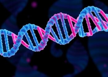 How Chaperones Build RNA Silencing Complexes — Medicine