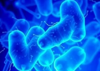 How Intestinal Mucus Influences Klebsiella pneumoniae Colonization and Antibiotic Effectiveness — Biology
