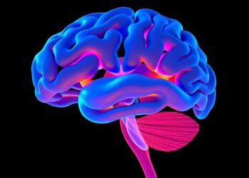 How Socioeconomic Factors Shape Children’s Brain Structure and Function — Medicine