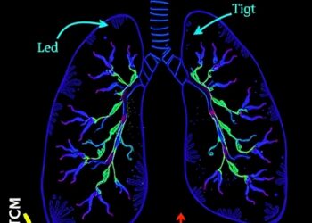 IKKα-Controlled miR-9-5p Drives Lung Cancer Progression — Medicine