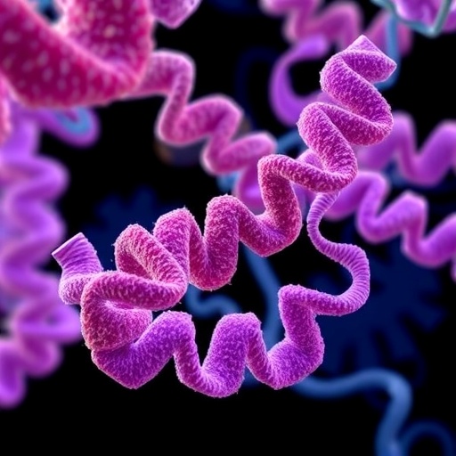 IRB Barcelona Leads MD4SB Project to Advance Dynamic Representation in Structural Biology — Biology