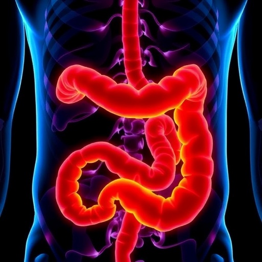 Increase in Colorectal Cancer Among Young Adults in Germany Observed—Still Lower Than US Rates — Cancer